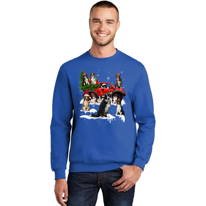 Border Collie Dog Red Truck Christmas Tree Santa Ugly Xmas Cute Gift Tall Sweatshirt