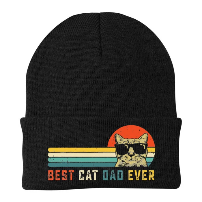 Best Cat Dad Ever FatherS Day Gift Cat Daddy Knit Cap Winter Beanie