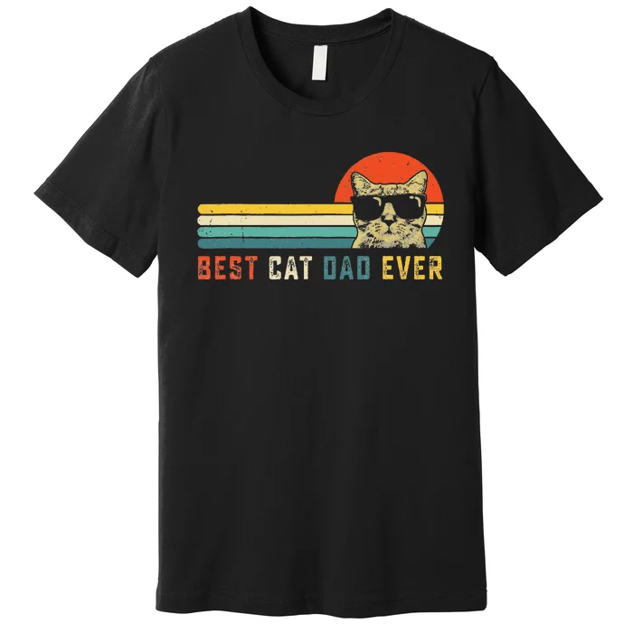 Best Cat Dad Ever FatherS Day Gift Cat Daddy Premium T-Shirt