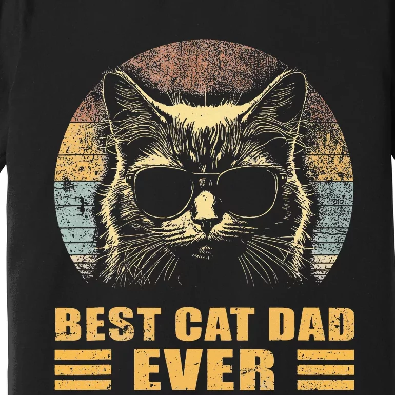 Best Cat Dad Ever FatherS Day Premium T-Shirt