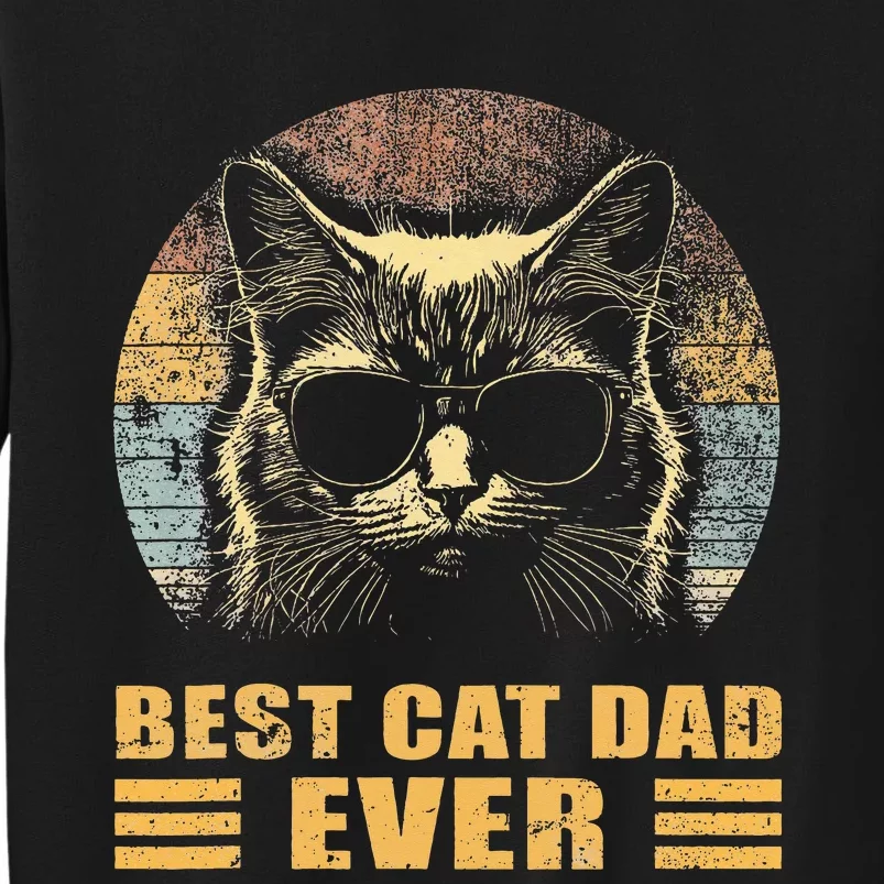 Best Cat Dad Ever FatherS Day Tall Sweatshirt