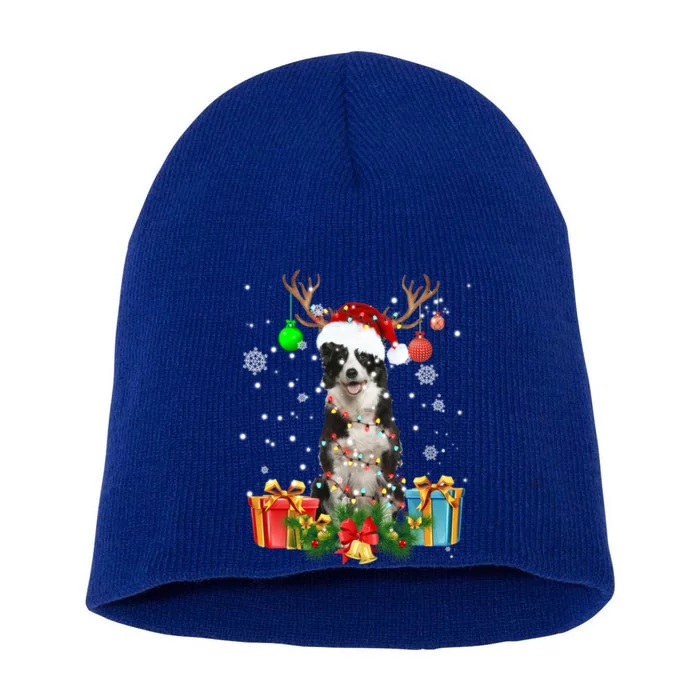 Border Collie Dog Tree Christmas Lights Ugly Xmas Sweater Gift Short Acrylic Beanie