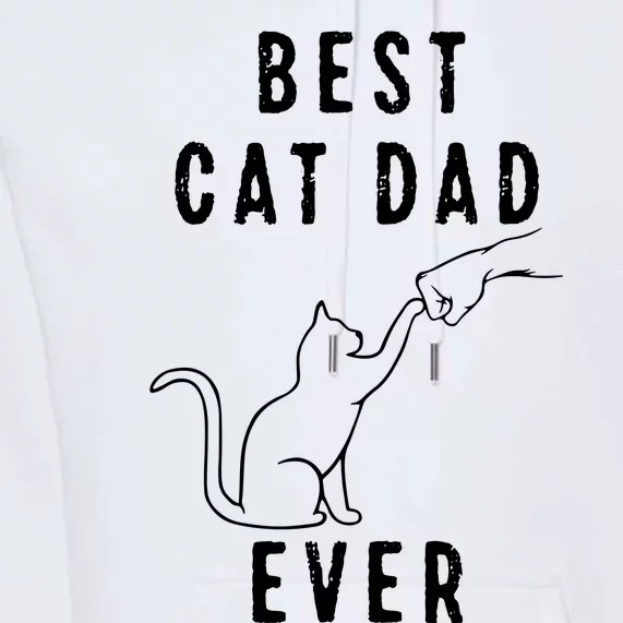 Best Cat Dad Ever Cat Daddy Paw Fist Bump Meow Cat Premium Hoodie