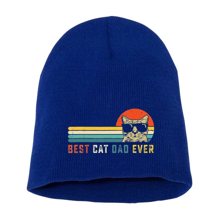 Best Cat Dad Ever FatherS Day Short Acrylic Beanie