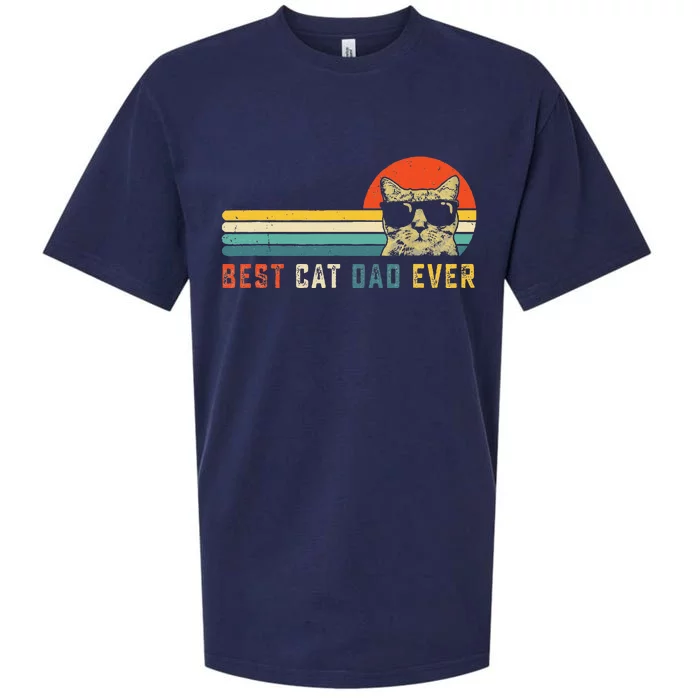 Best Cat Dad Ever FatherS Day Sueded Cloud Jersey T-Shirt