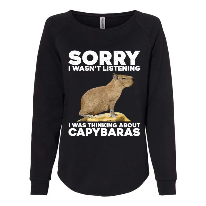 Best Capybara Design Pet Rodent Capybara Womens California Wash Sweatshirt