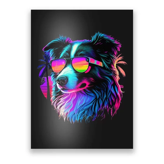 Border Collie Dogs Border Collies Poster