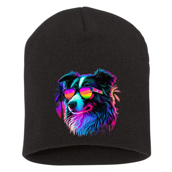 Border Collie Dogs Border Collies Short Acrylic Beanie