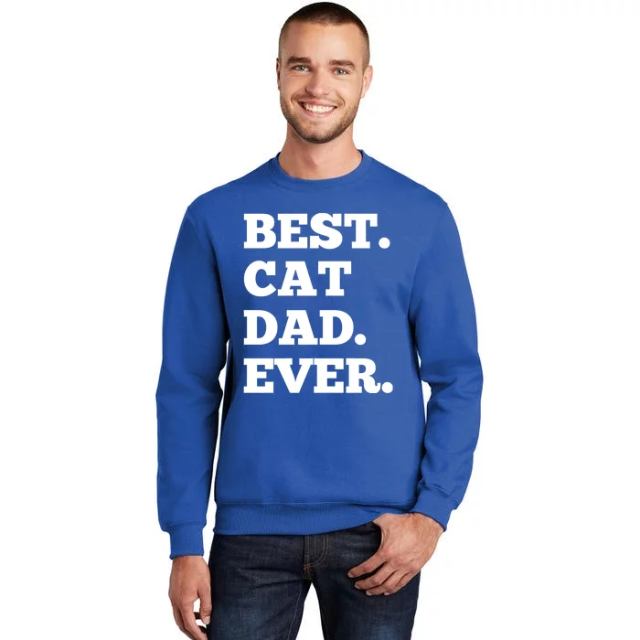 Best Cat Dad Ever Daddy Fathers Day Gift Sweatshirt