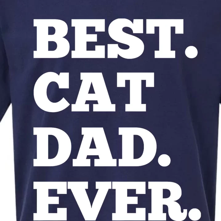 Best Cat Dad Ever Daddy Fathers Day Gift Sueded Cloud Jersey T-Shirt