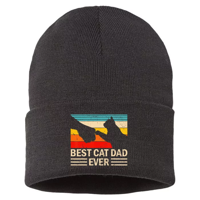 Best Cat Dad Ever Funny Vintage Cat Daddy Sustainable Knit Beanie