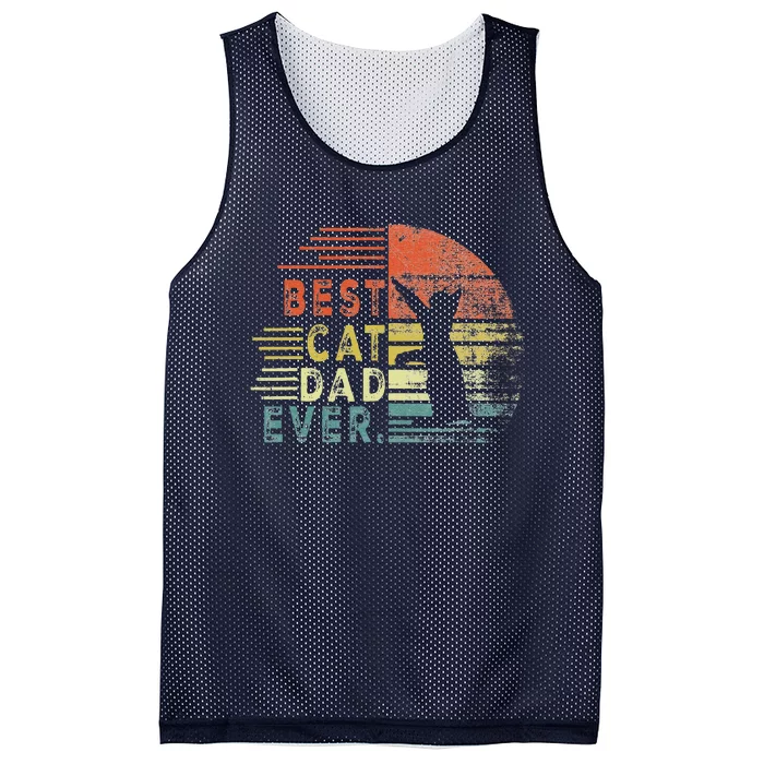 Best Cat Dad Ever Cat Gifts For Cat Lovers Fathers Day Mesh Reversible Basketball Jersey Tank