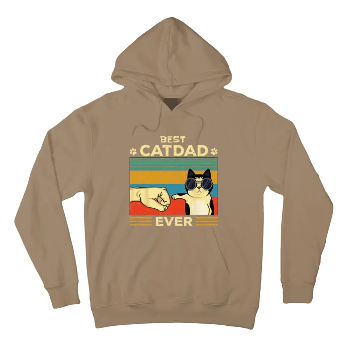 Best Cat Dad Ever Dad Gifts Daddy Fathers Day Hoodie