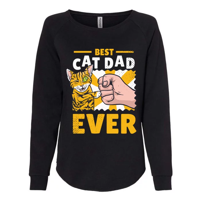 Best Cat Father In The World Gift Womens California Wash Sweatshirt