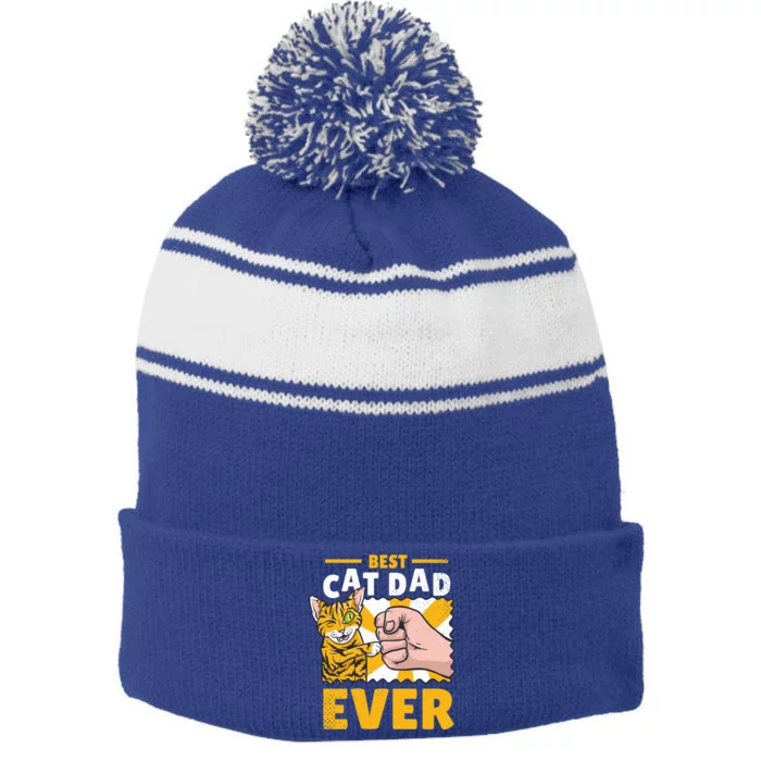 Best Cat Father In The World Gift Stripe Pom Pom Beanie