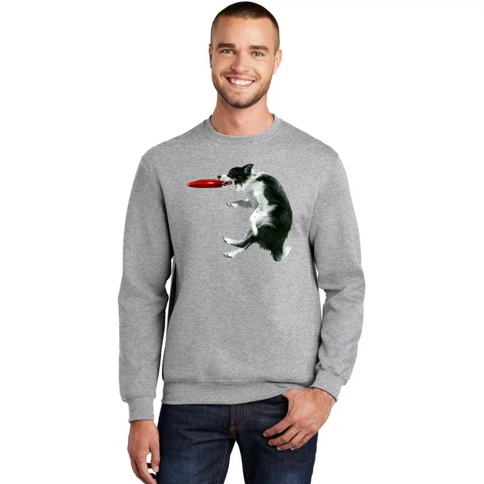 Border Collie Frisbee Graphic Sheepdog Print Gift Tall Sweatshirt