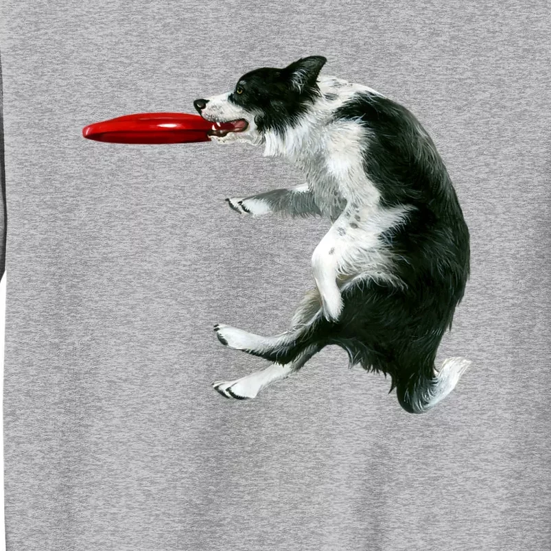 Border Collie Frisbee Graphic Sheepdog Print Gift Tall Sweatshirt