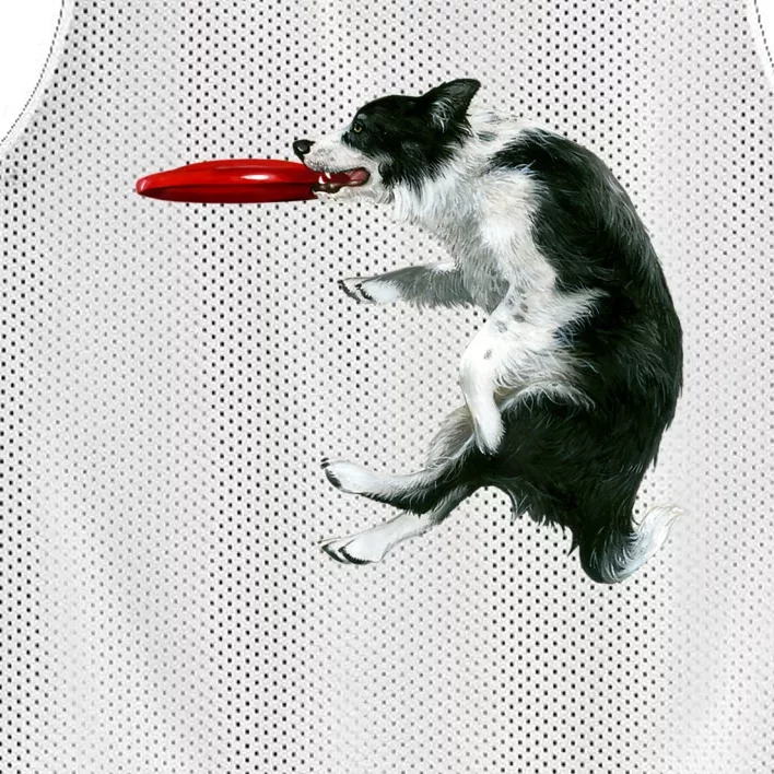 Border Collie Frisbee Graphic Sheepdog Print Gift Mesh Reversible Basketball Jersey Tank