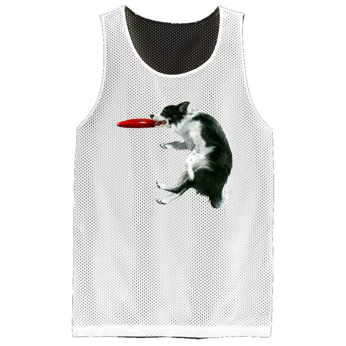 Border Collie Frisbee Graphic Sheepdog Print Gift Mesh Reversible Basketball Jersey Tank