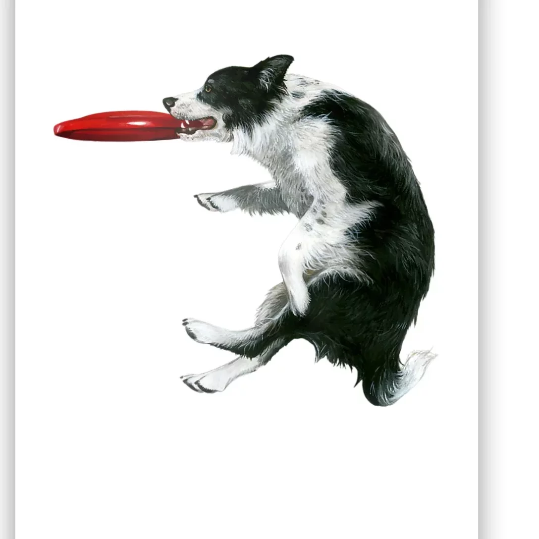 Border Collie Frisbee Graphic Sheepdog Print Gift Poster