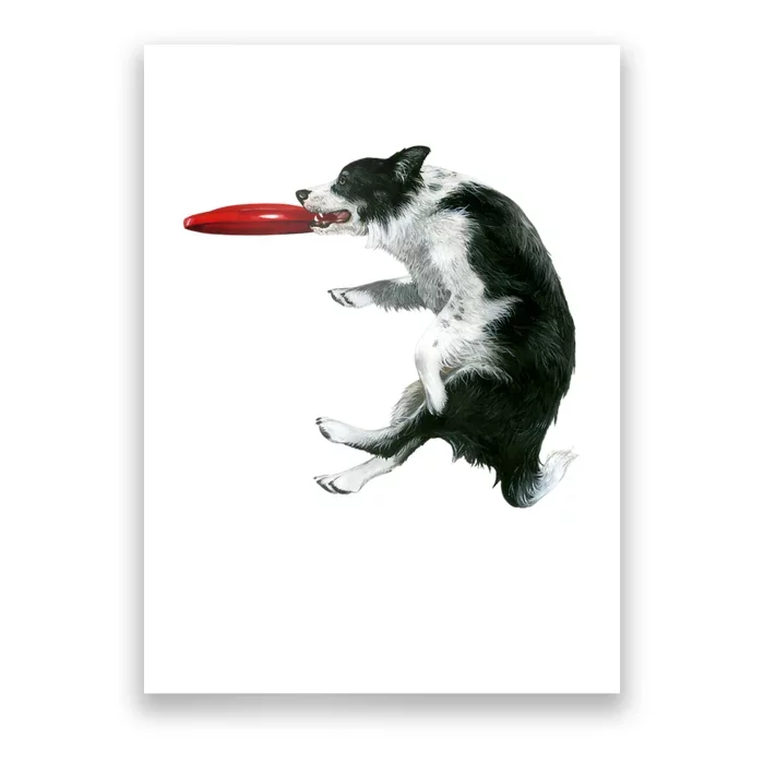 Border Collie Frisbee Graphic Sheepdog Print Gift Poster