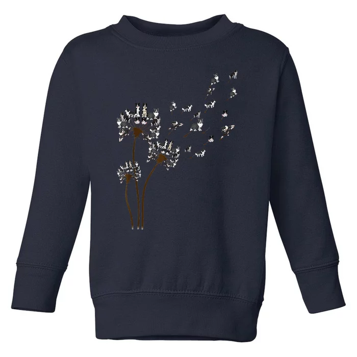 Border Collie Flower Fly Dandelion Funny Dog Toddler Sweatshirt