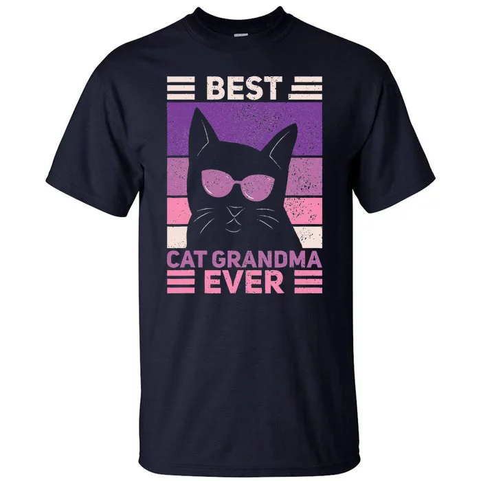 Best Cat Grandma Ever Women Cat Lover Funny Black Cat Themed Tall T-Shirt