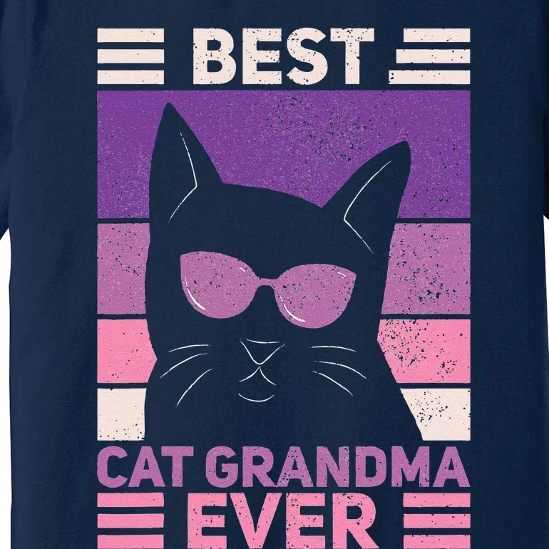 Best Cat Grandma Ever Women Cat Lover Funny Black Cat Themed Premium T-Shirt