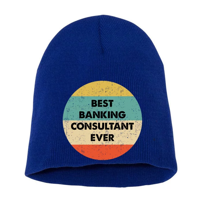 Banking Consultanmeaningful Gift Best Banking Consultant Ever Gift Short Acrylic Beanie