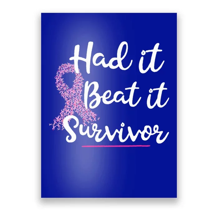 Breast Cancer I Had It I Beat It Survivor Pink Ribbon Poster