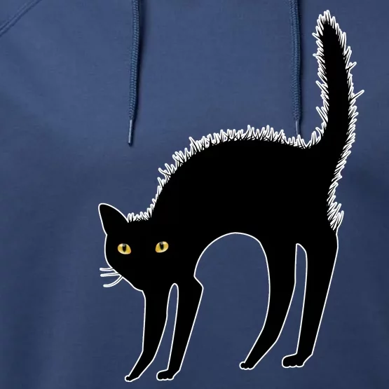 Black Cat Lover Gift Performance Fleece Hoodie