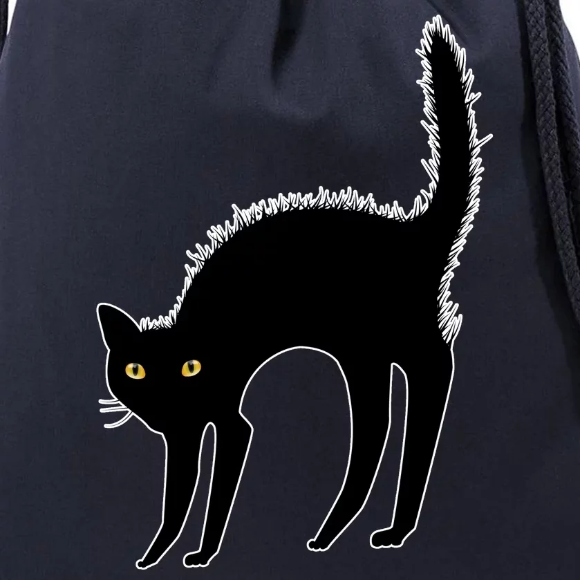 Black Cat Lover Gift Drawstring Bag