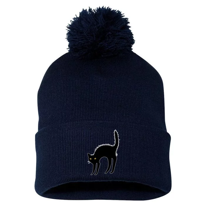 Black Cat Lover Gift Pom Pom 12in Knit Beanie