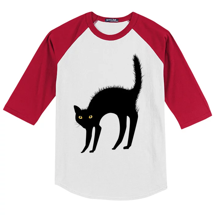 Black Cat Lover Gift Kids Colorblock Raglan Jersey