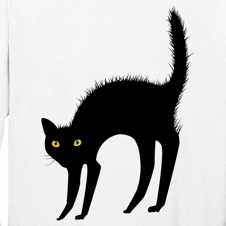 Black Cat Lover Gift Long Sleeve Shirt