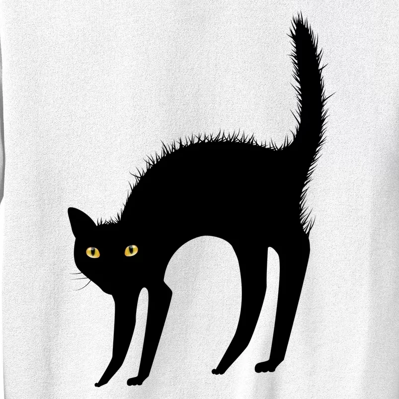 Black Cat Lover Gift Sweatshirt