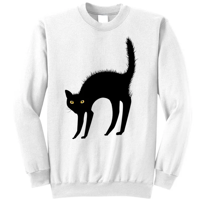 Black Cat Lover Gift Sweatshirt