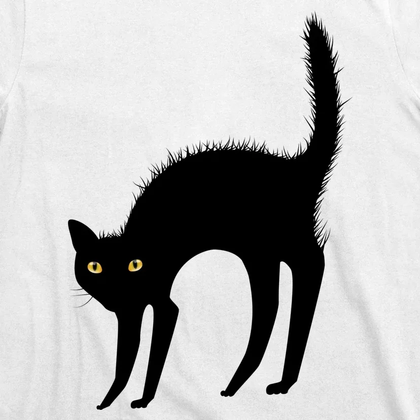 Black Cat Lover Gift T-Shirt