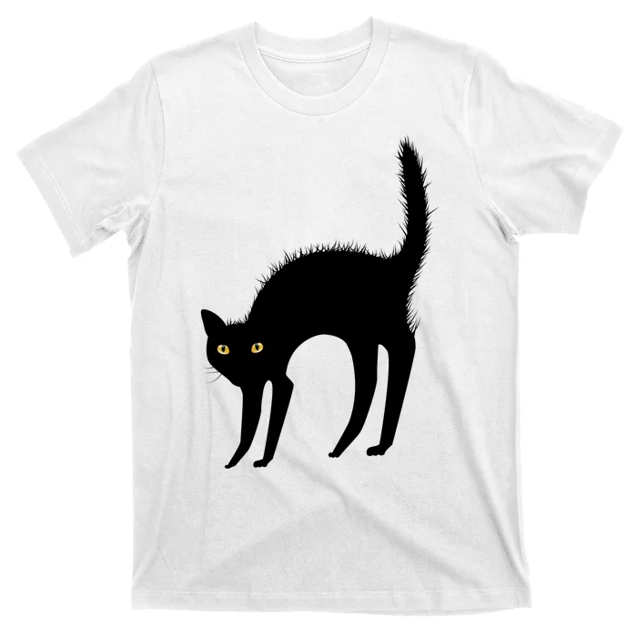 Black Cat Lover Gift T-Shirt