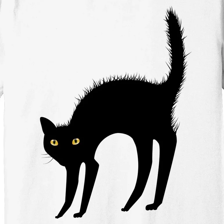 Black Cat Lover Gift Premium T-Shirt