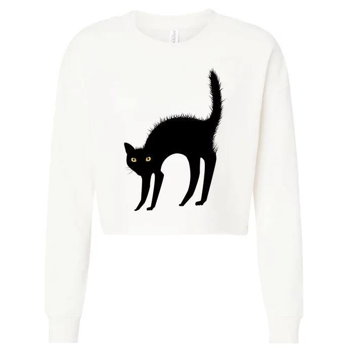 Black Cat Lover Gift Cropped Pullover Crew