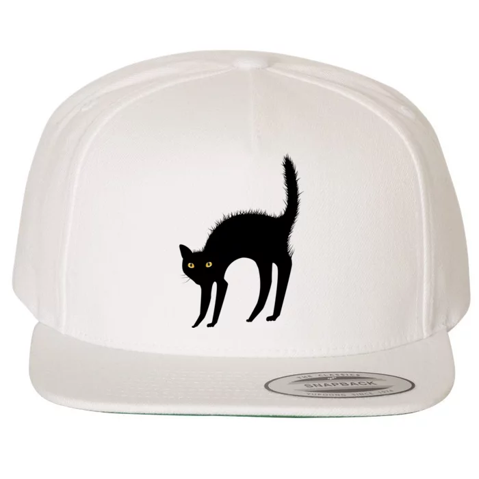 Black Cat Lover Gift Wool Snapback Cap