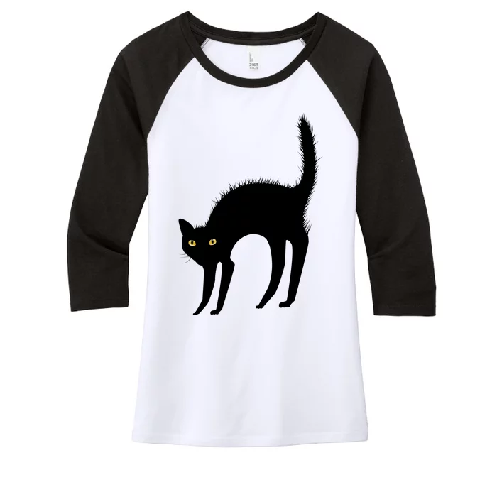 Black Cat Lover Gift Women's Tri-Blend 3/4-Sleeve Raglan Shirt