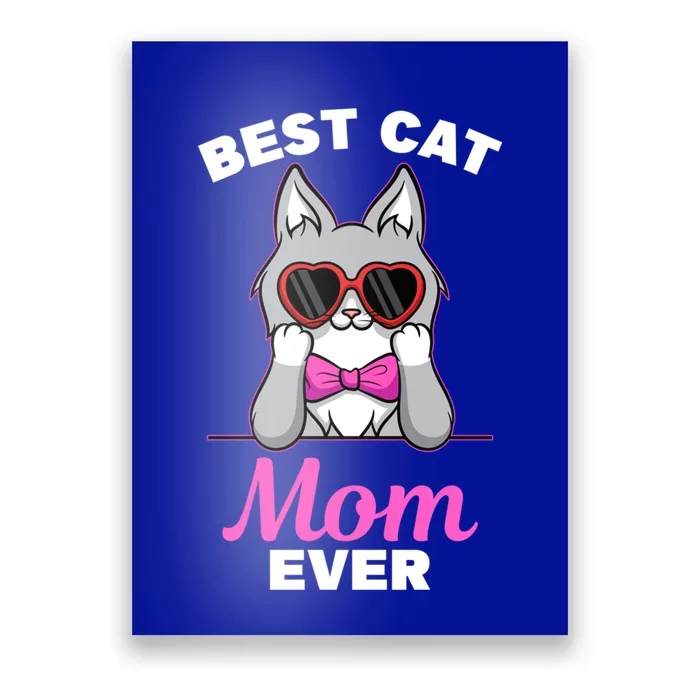 Best Cat Mom Ever Design For Maine Coon Lovers Gift Poster