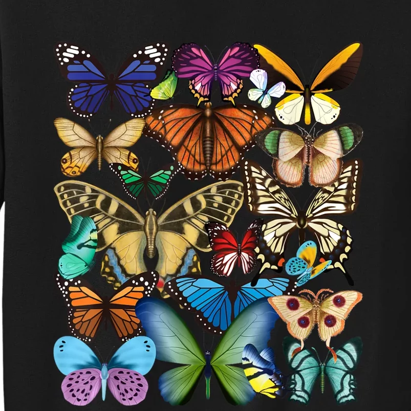 Butterfly Collection Monarch Butterfly Lover Butterflies Sweatshirt