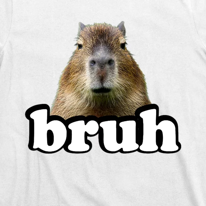 Bruh Capybara Meme Funny Bruh Saying T-Shirt