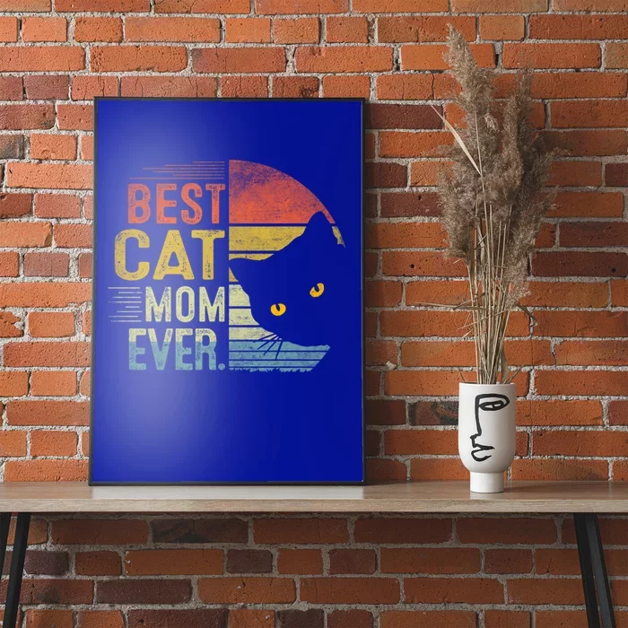 Best Cat Mom Ever Cute Mother's Day Cat Lovers Cat Mommy Great Gift Poster