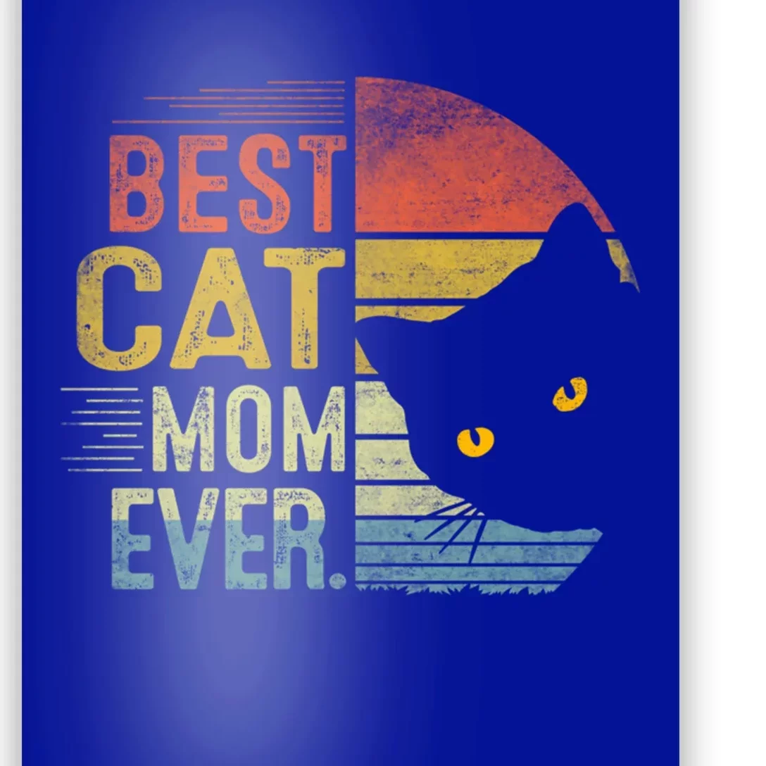 Best Cat Mom Ever Cute Mother's Day Cat Lovers Cat Mommy Great Gift Poster