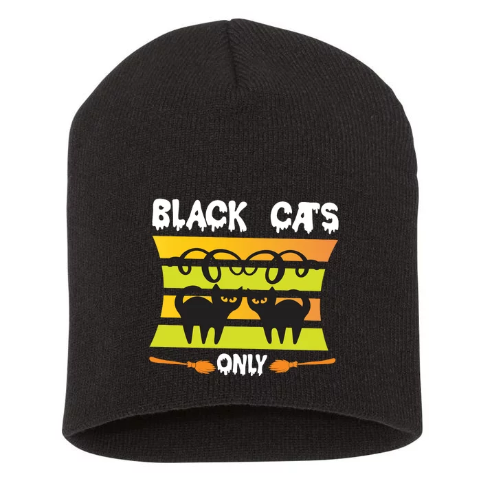 Black Cats Only Short Acrylic Beanie