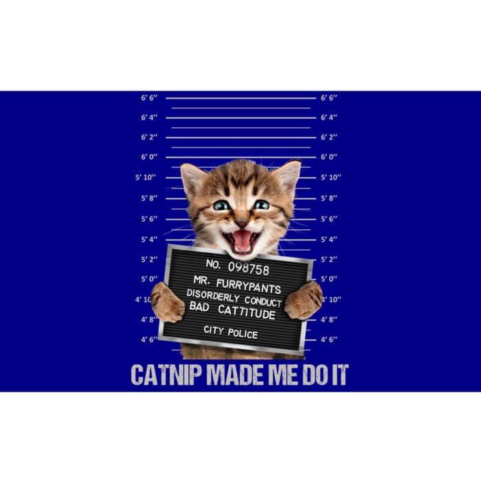 Bad Cat Prison Jail Catnip Made Me Do It Prisoner Funny Cat Gift Bumper Sticker